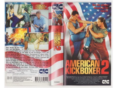 American Kickboxer 2         